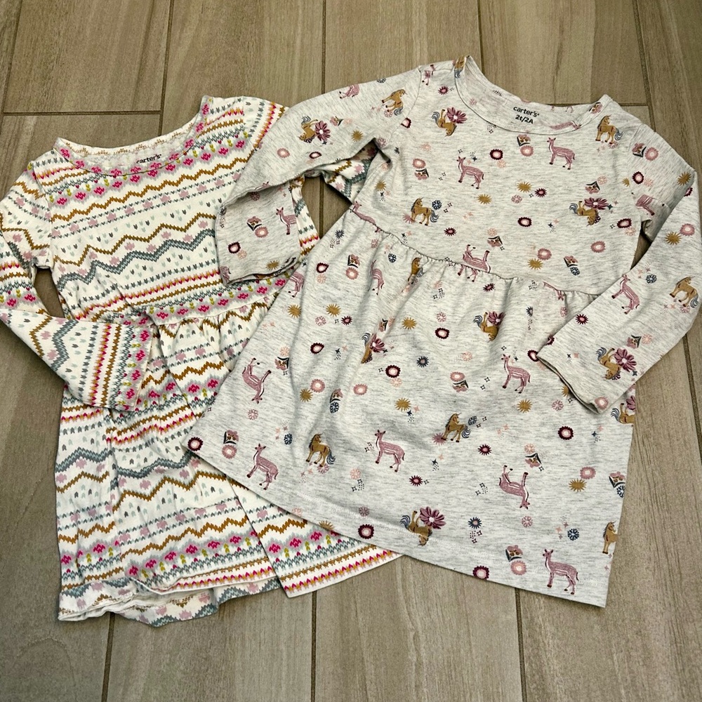 Carter's Multicolor and Gray Kids long sleeve dresses 2t bundle